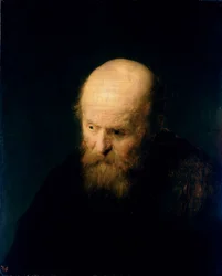 Kopf eines kahlen, alten Mannes, 1632